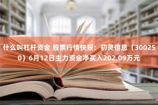 什么叫杠杆资金 股票行情快报：初灵信息（300250）6月12日主力资金净买入202.09万元