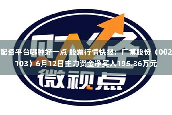 配资平台哪种好一点 股票行情快报：广博股份（002103）6月12日主力资金净买入195.36万元