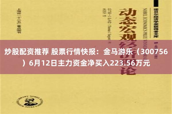 炒股配资推荐 股票行情快报：金马游乐（300756）6月12日主力资金净买入223.56万元