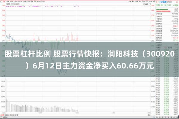 股票杠杆比例 股票行情快报：润阳科技（300920）6月12日主力资金净买入60.66万元