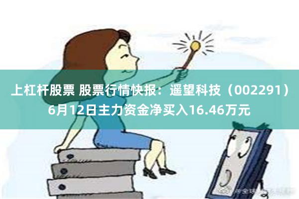 上杠杆股票 股票行情快报：遥望科技（002291）6月12日主力资金净买入16.46万元