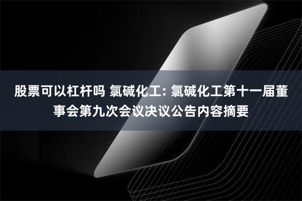 股票可以杠杆吗 氯碱化工: 氯碱化工第十一届董事会第九次会议决议公告内容摘要