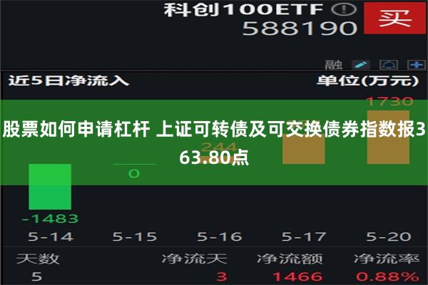 股票如何申请杠杆 上证可转债及可交换债券指数报363.80点