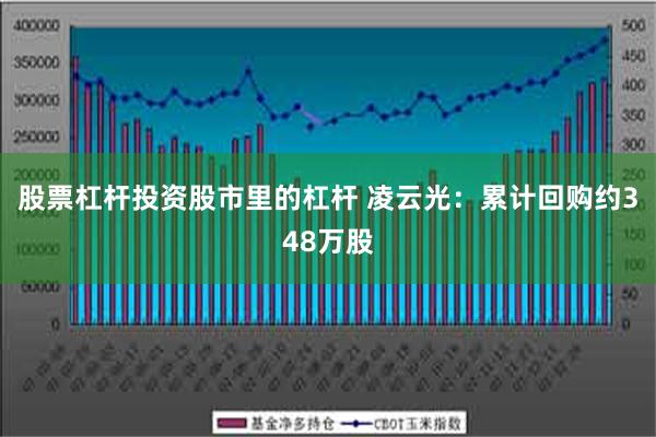 股票杠杆投资股市里的杠杆 凌云光：累计回购约348万股