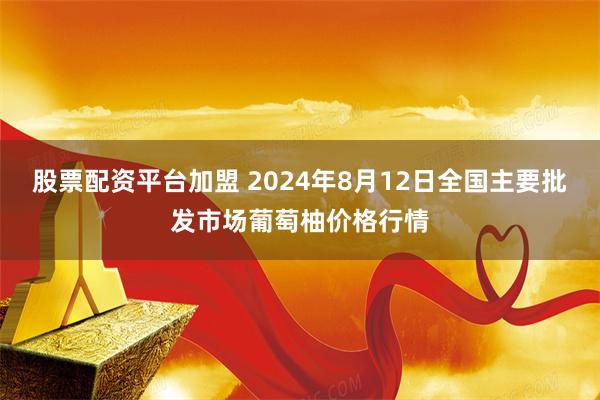 股票配资平台加盟 2024年8月12日全国主要批发市场葡萄柚价格行情