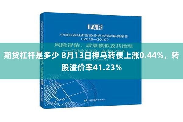 期货杠杆是多少 8月13日神马转债上涨0.44%，转股溢价率41.23%