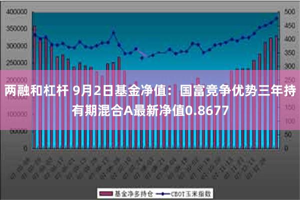 两融和杠杆 9月2日基金净值：国富竞争优势三年持有期混合A最新净值0.8677