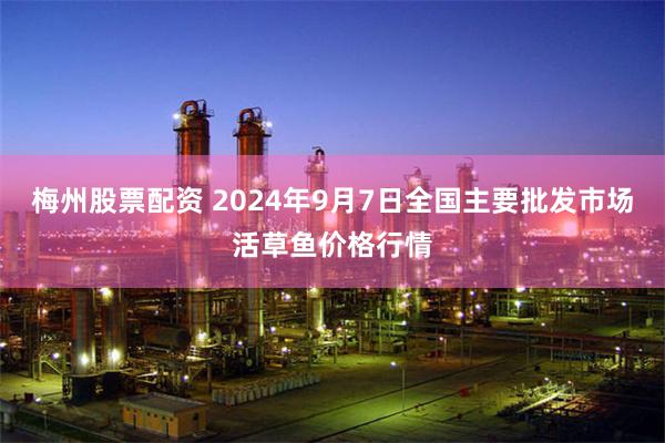 梅州股票配资 2024年9月7日全国主要批发市场活草鱼价格行情