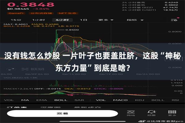 没有钱怎么炒股 一片叶子也要盖肚脐，这股“神秘东方力量”到底是啥？