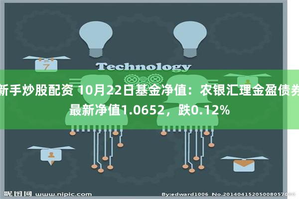 新手炒股配资 10月22日基金净值：农银汇理金盈债券最新净值1.0652，跌0.12%