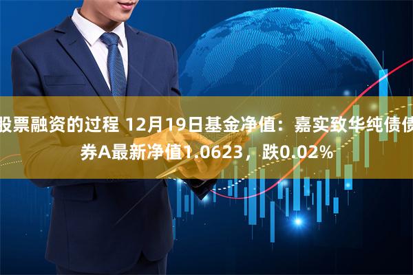 股票融资的过程 12月19日基金净值：嘉实致华纯债债券A最新净值1.0623，跌0.02%