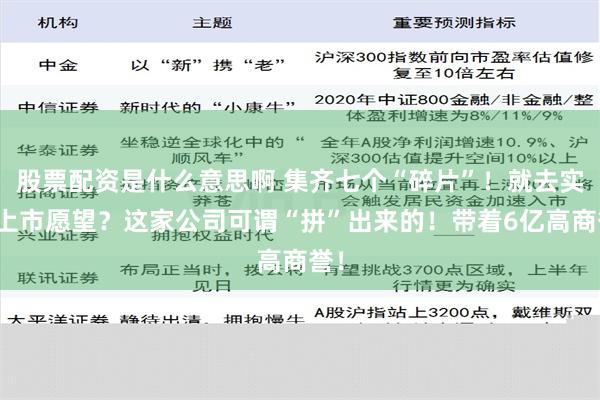 股票配资是什么意思啊 集齐七个“碎片”！就去实现上市愿望？这家公司可谓“拼”出来的！带着6亿高商誉！