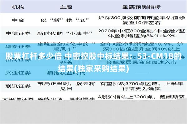 股票杠杆多少倍 中密控股中标结果：53-CM1B的结果(独家采购结果)