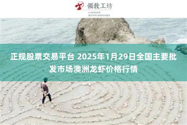 正规股票交易平台 2025年1月29日全国主要批发市场澳洲龙虾价格行情