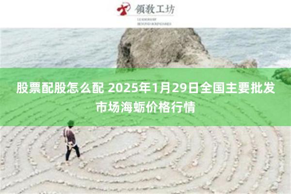 股票配股怎么配 2025年1月29日全国主要批发市场海蛎价格行情